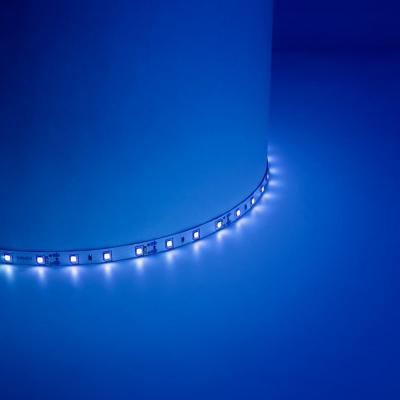 LED лента, 60SMD(2835)/m 4.8W/m 12V, IP20 5m, BLUE, LS603 /27673/