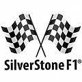 Авторегистраторы SilverStone F1